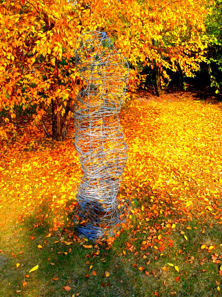 Autumn gold park the decrease in