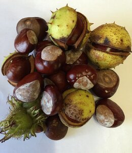 Fruit pieksig autumn decoration