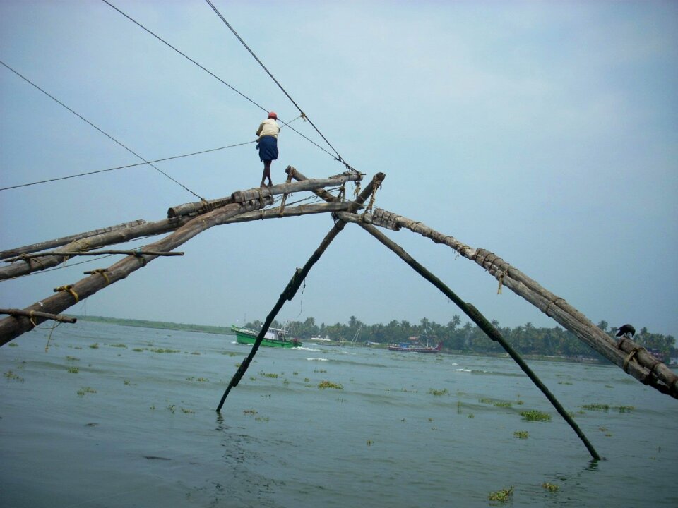 Kerala chinese net