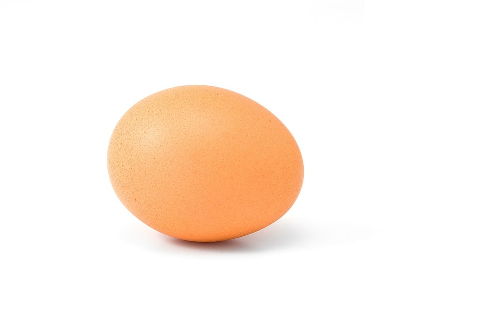 Dairy egg food photo