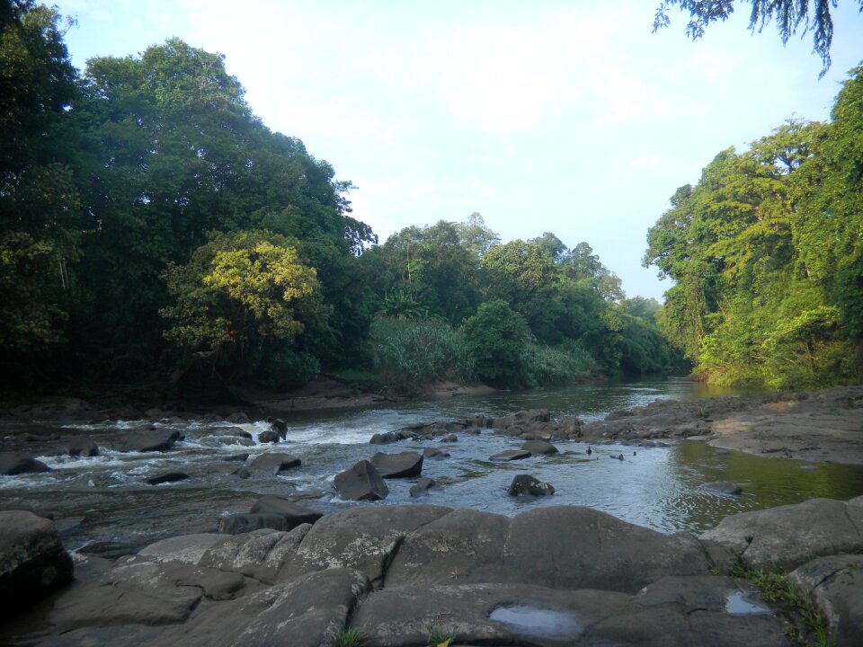 Water river stream photo