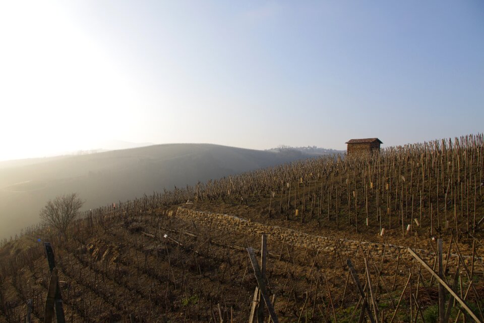 Nature wine france