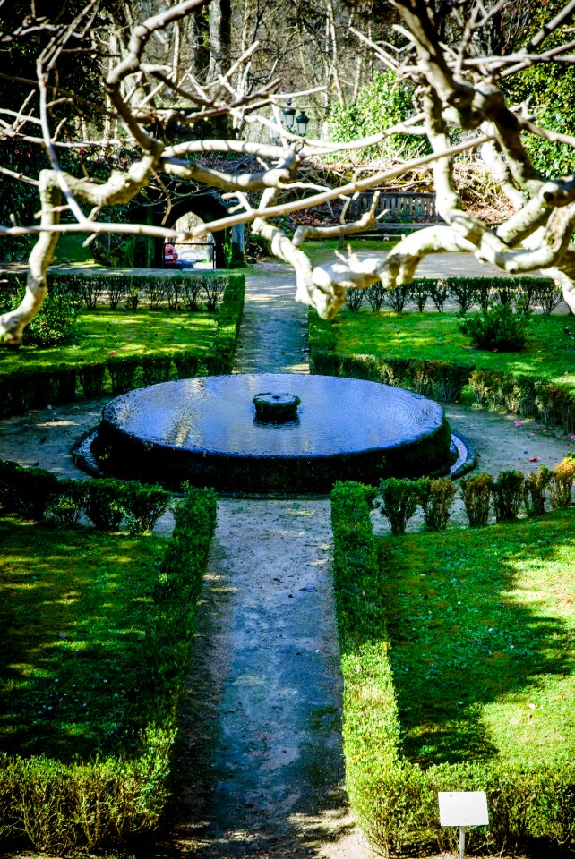 Garden summer water