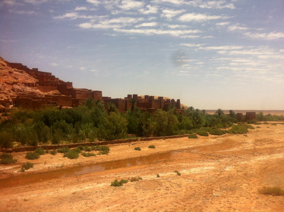 Reis woestijn desert
