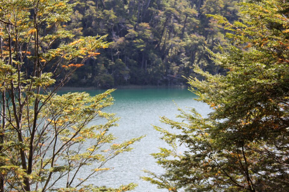 Argentina patagonia southern argentina