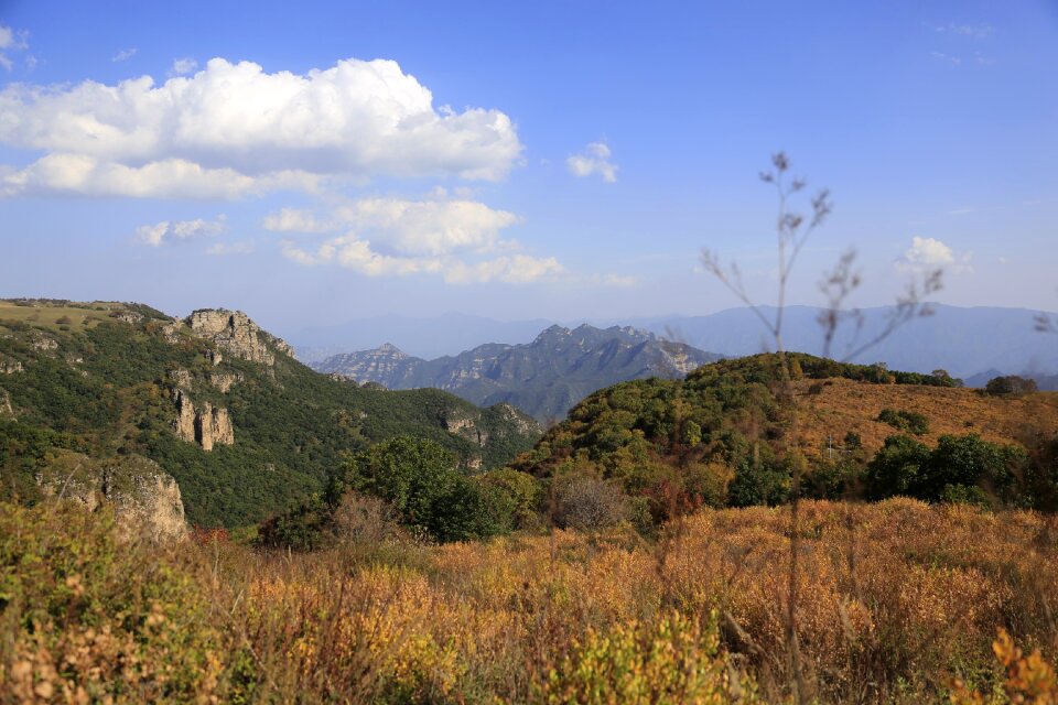 Autumn views nature