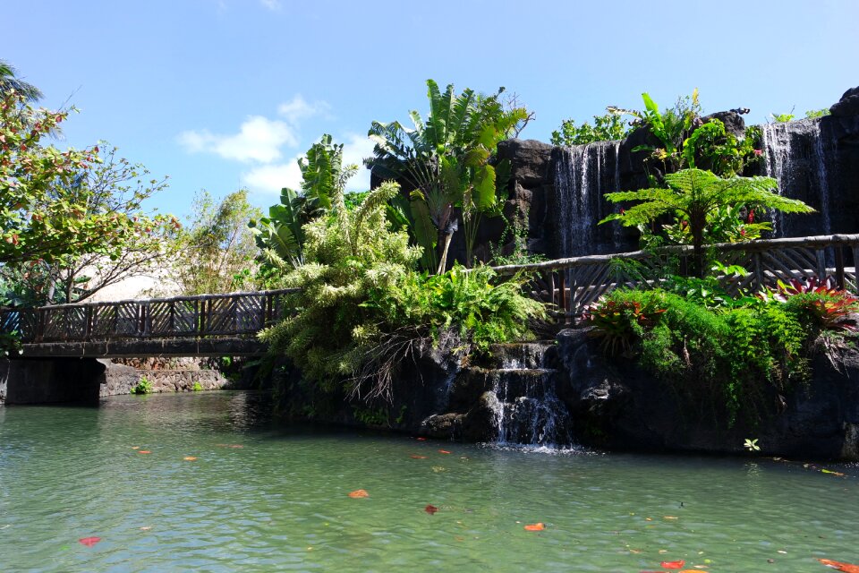 Park garden bridge