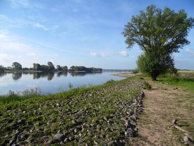 Elbe river heister bush