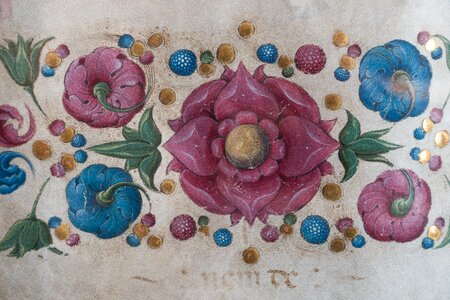 Frame representation floral