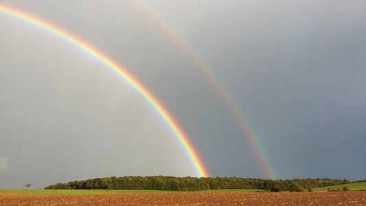 Field rainbow forest