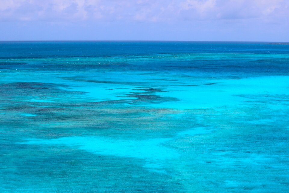 Water tropical water color