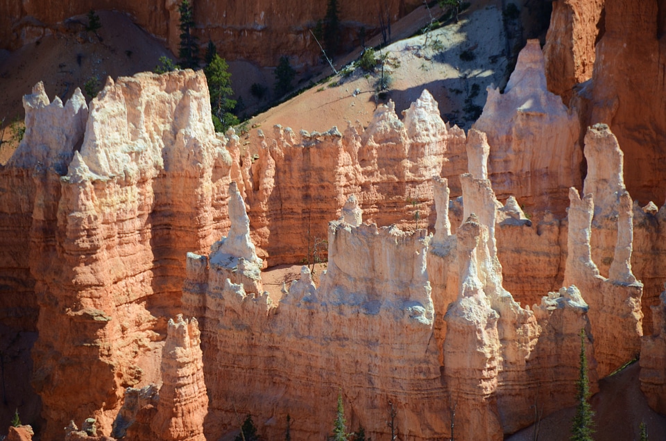 Scenery utah landscape