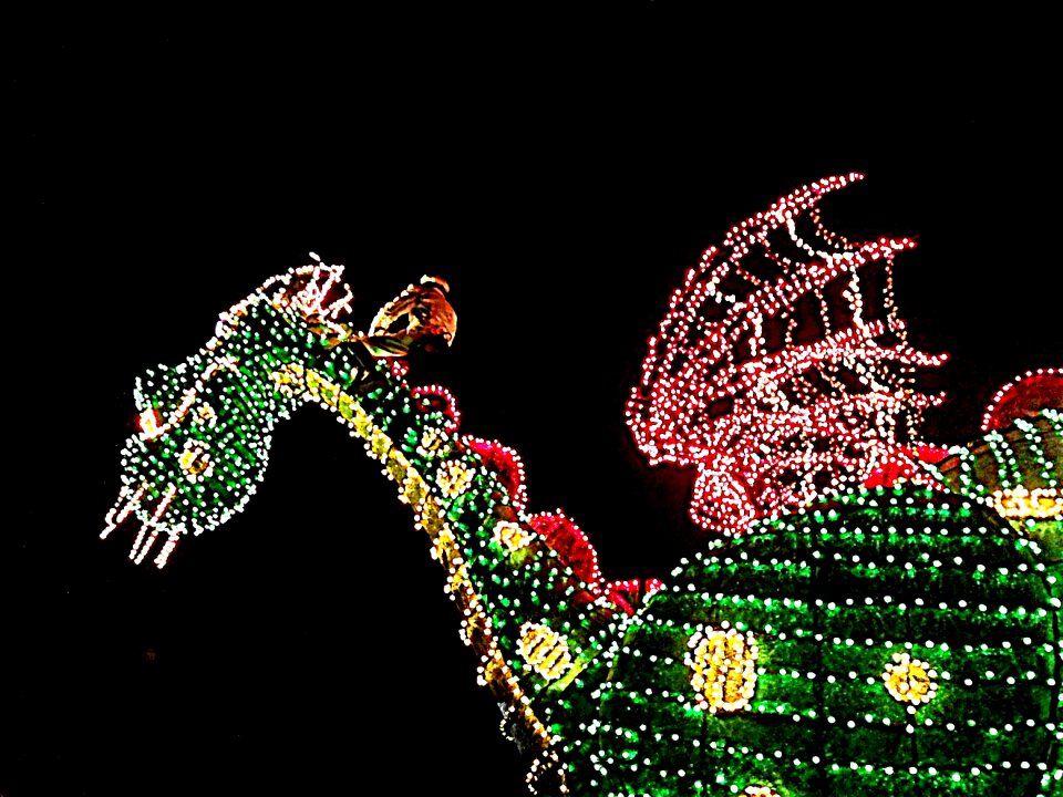 Vacation colorful dragon