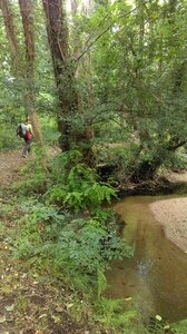 Tourist water stream walk