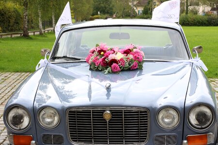 Marry flowers auto photo