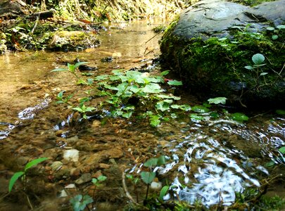 River water flow spring photo