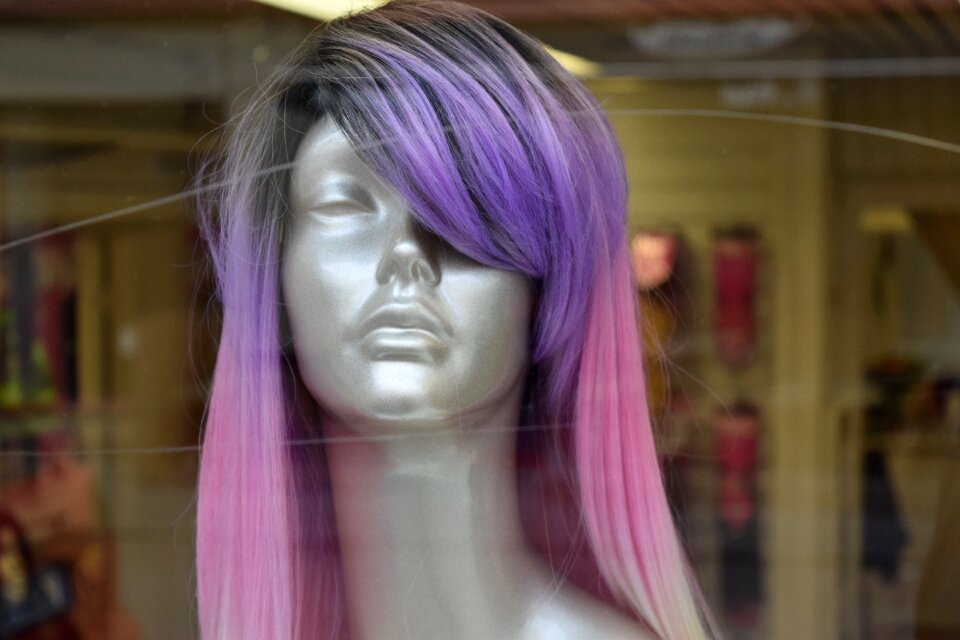 The longing manekin purple hair