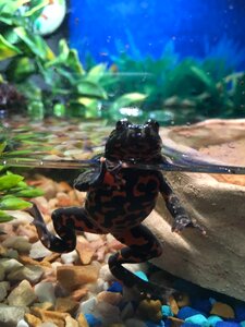 Zoo aquarium