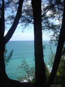 Sea hawaii beach hawaiian photo