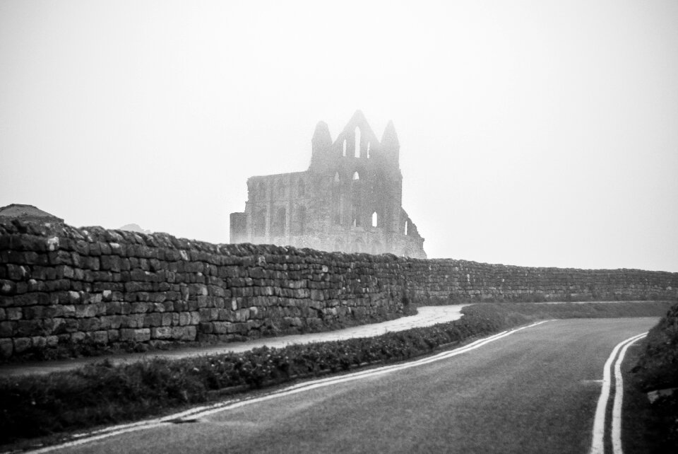 Black and white dracula road