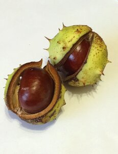 Fruit pieksig autumn decoration