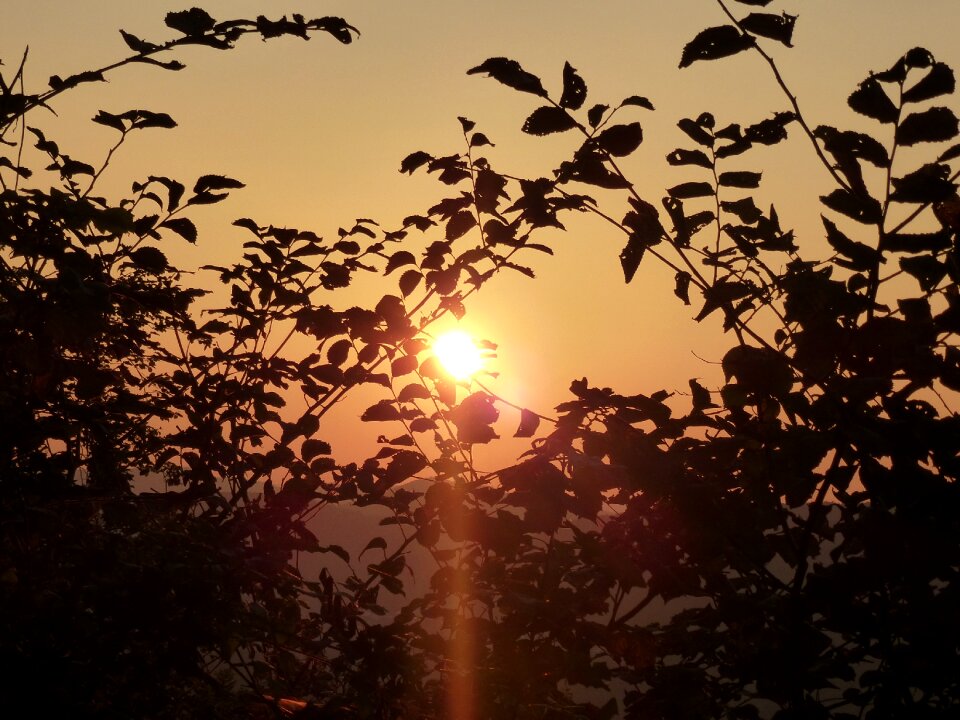 Sunbeam orange sky morning