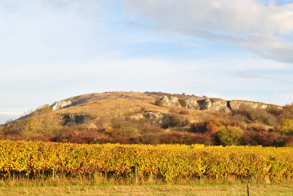 Landscape blue sky autumnal