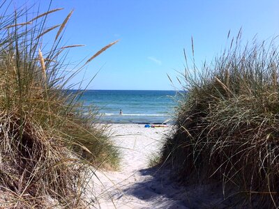 Danish beach the sea sandy beach photo