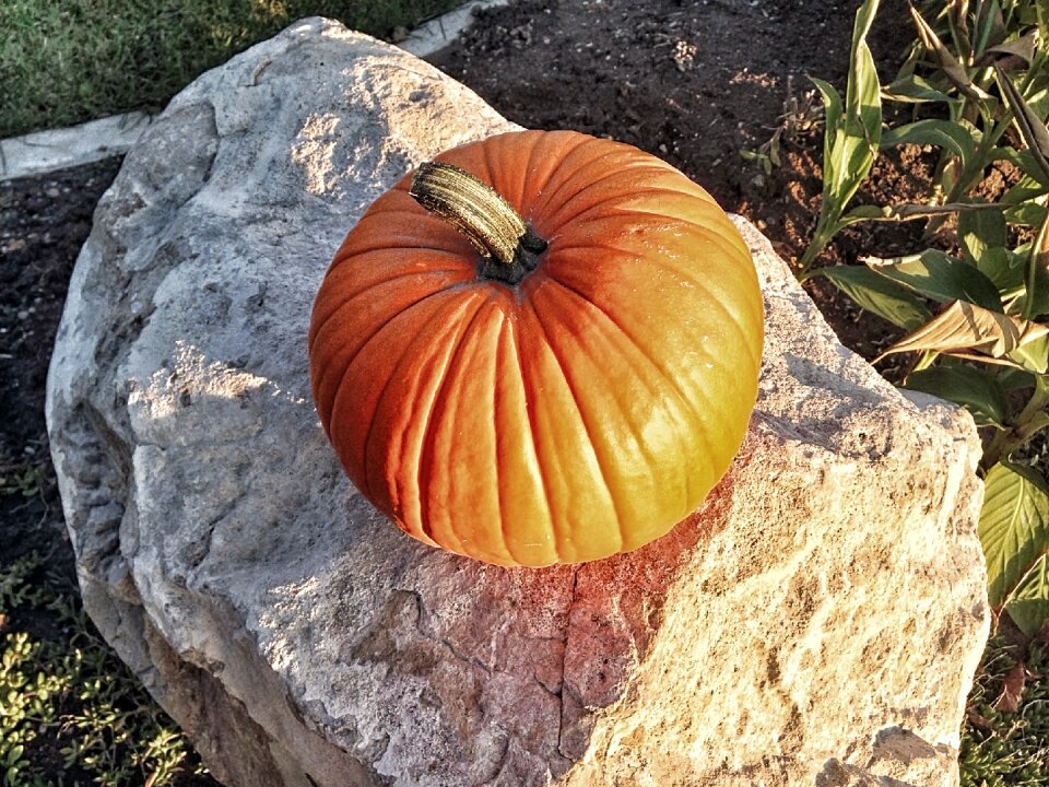 Orange october seasonal