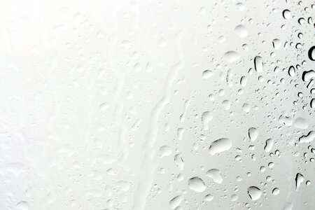 Water drip wet photo
