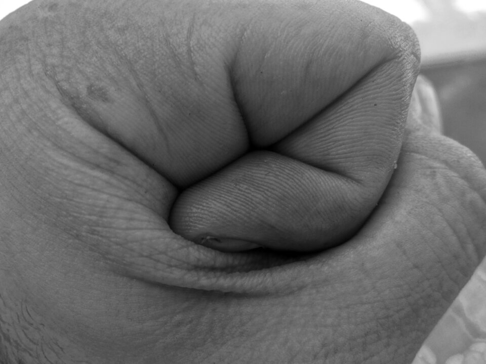 Taken features fingerprints