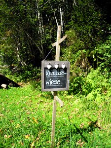 Green shield garden decoration