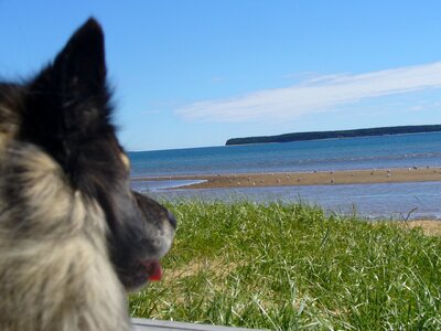 Sea ocean look away