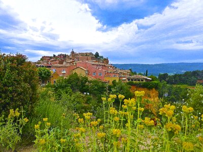 Blooming red france
