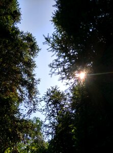 Day morning news sunny days