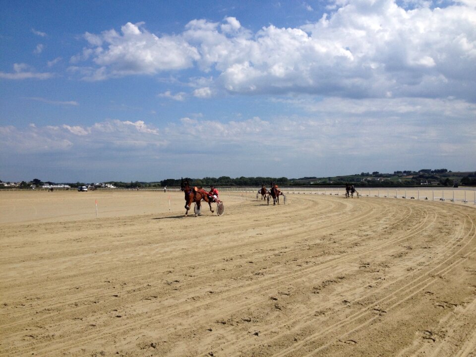 Regional local sandy