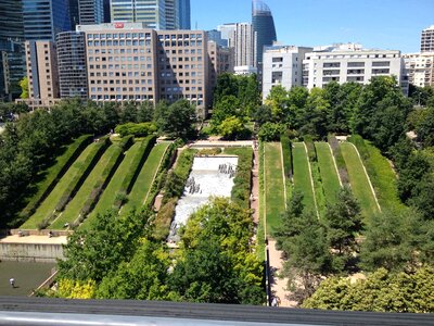 Green flower garden lawn