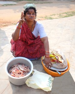 Haggle price vendor