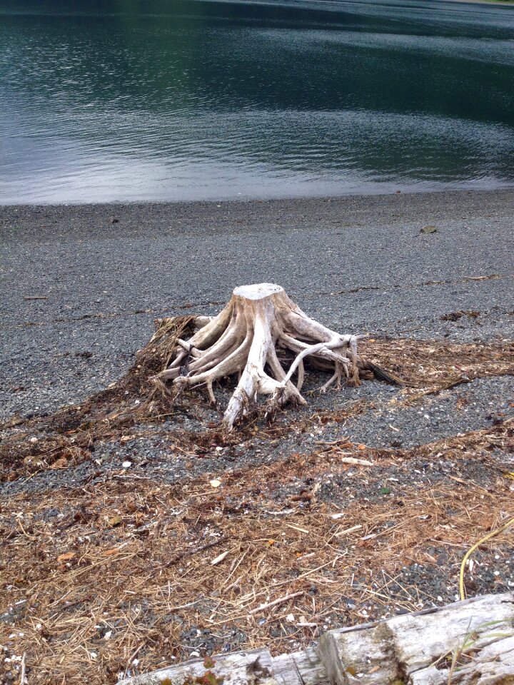 Bay beach nature