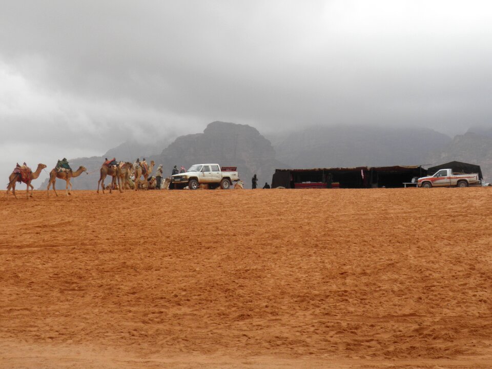 Jordan desert nature photo