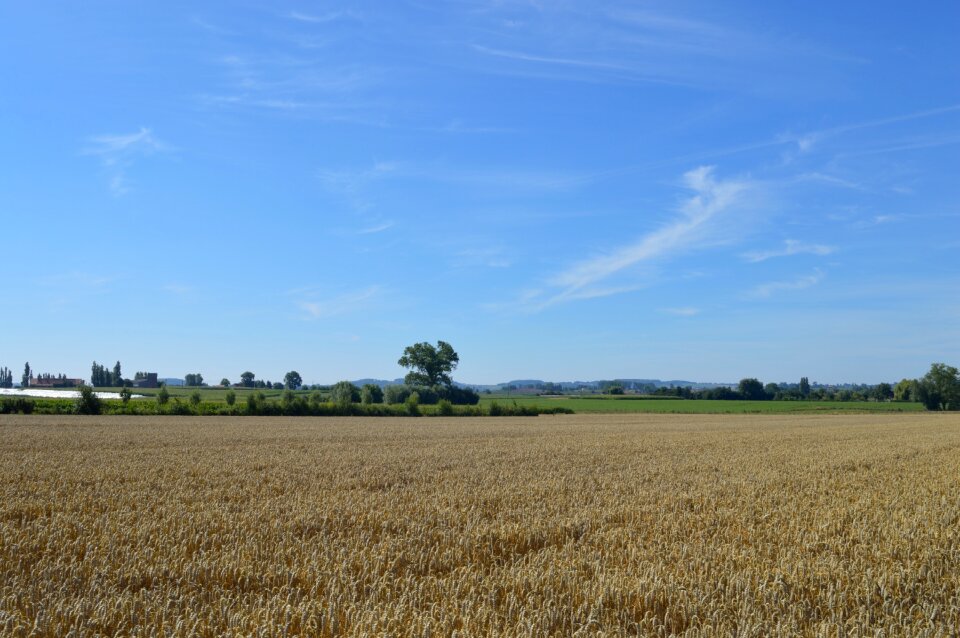 Blue sky horizon photo