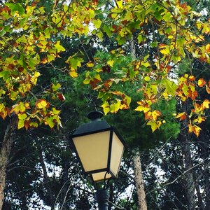 Autumn light lamp