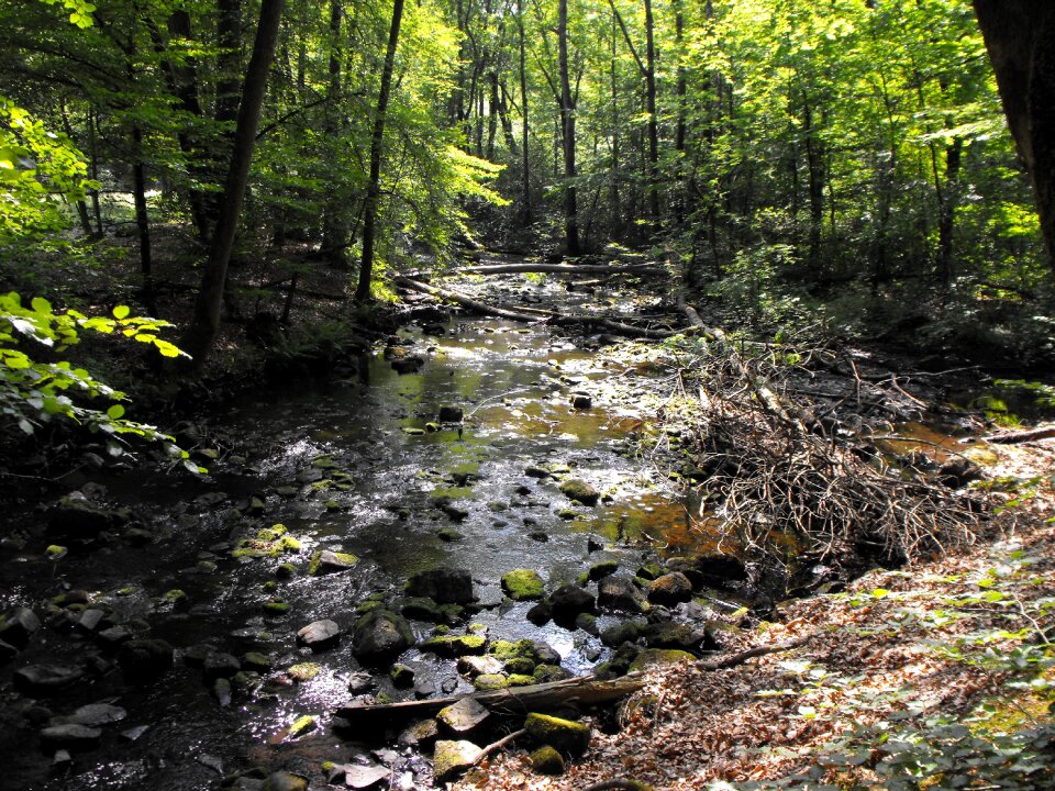 River water stream