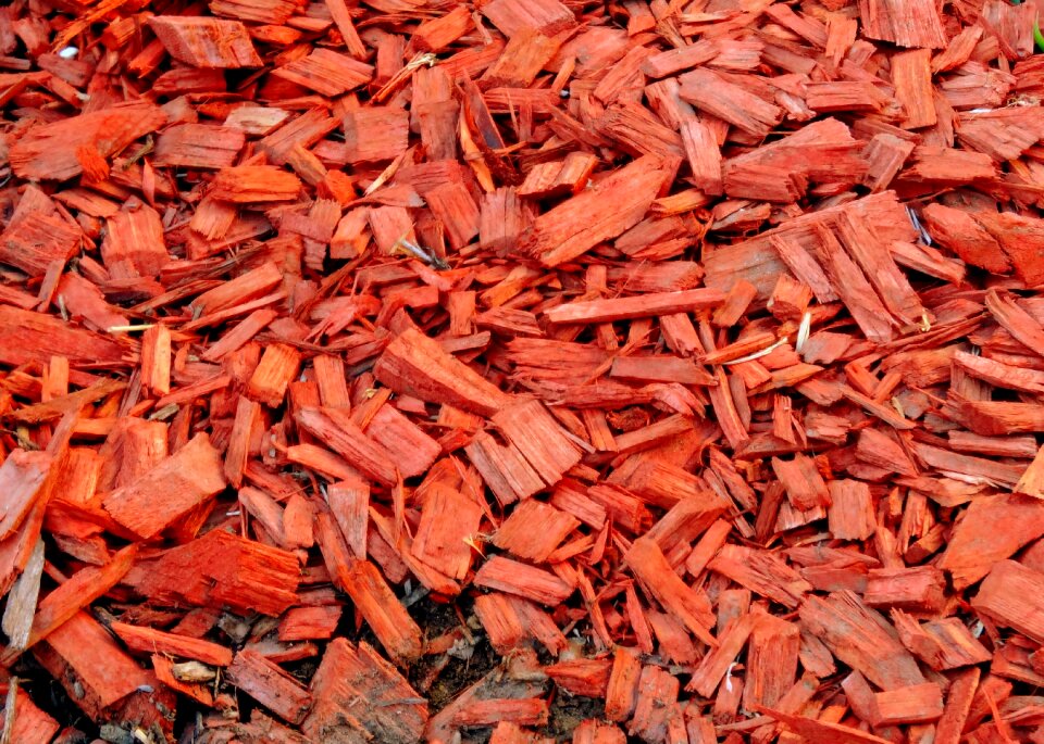 Color wood pattern