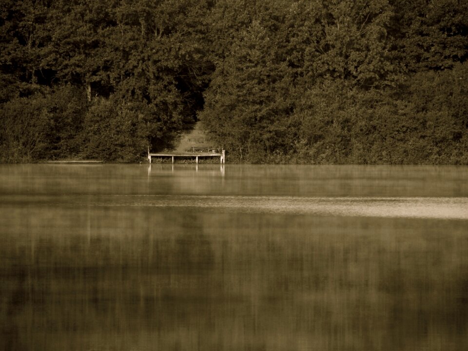 Lake mountains forest
