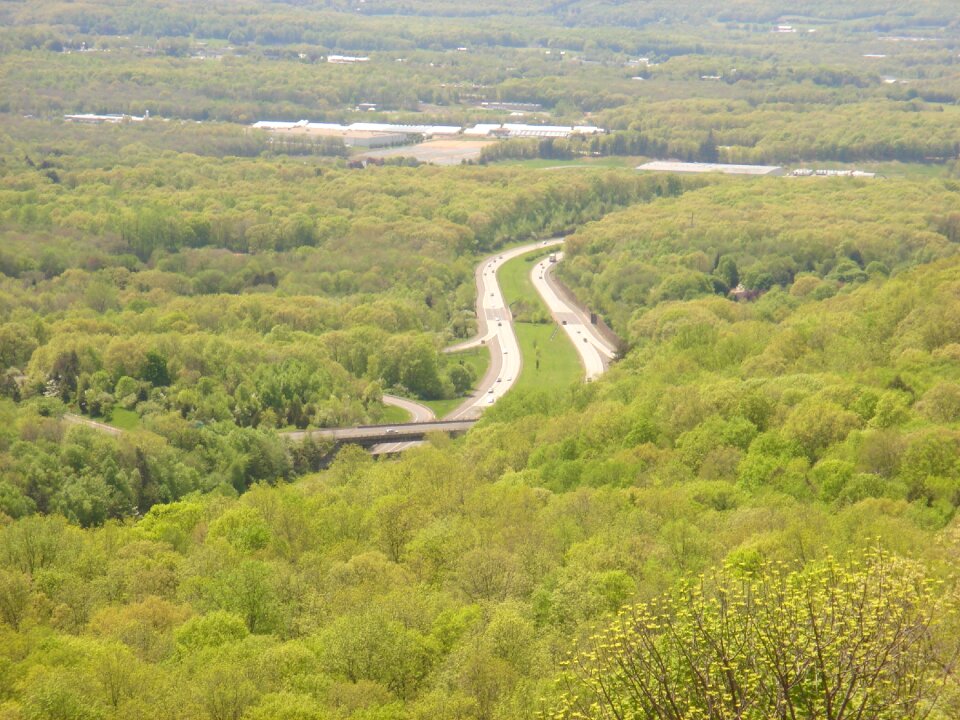 Forest parks view