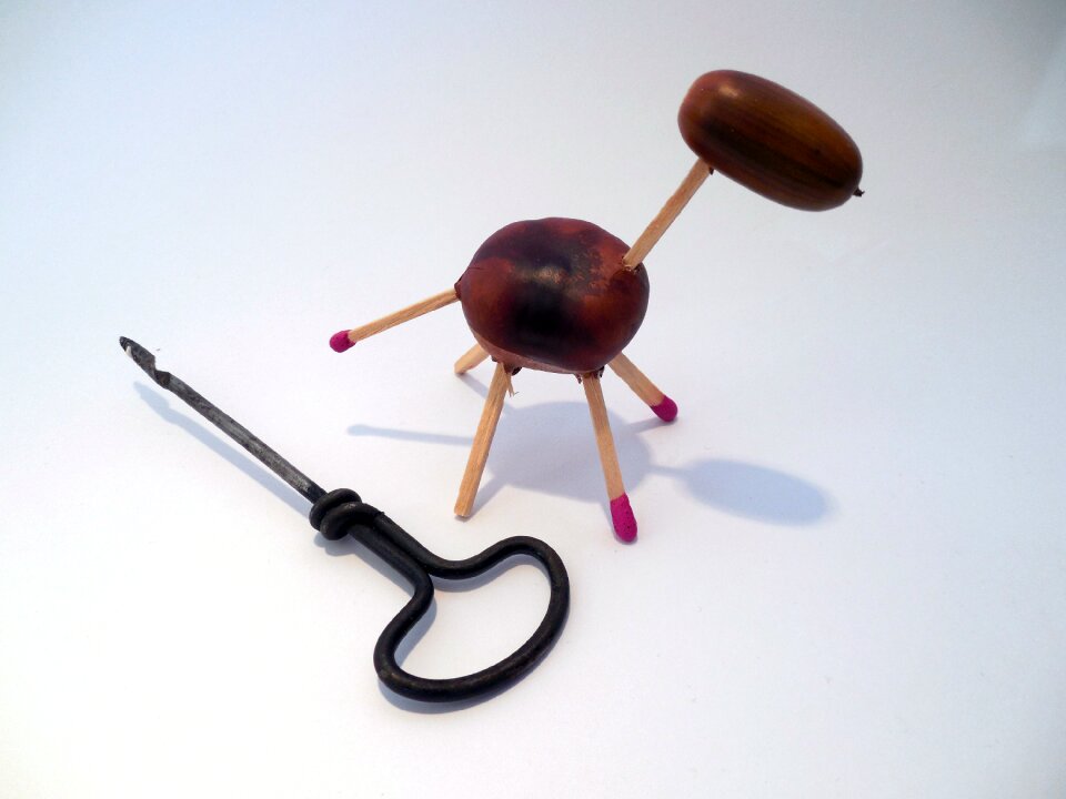 Hobby handicrafts nature