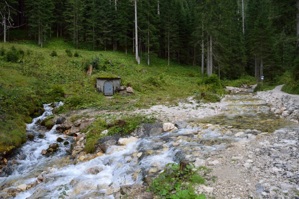 Supply water stream trees