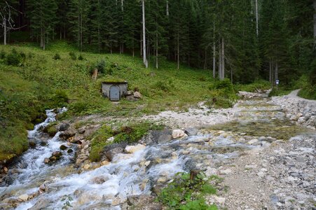 Supply water stream trees photo