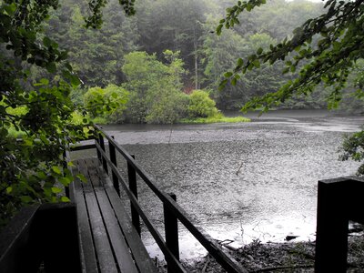 Summer wood pier